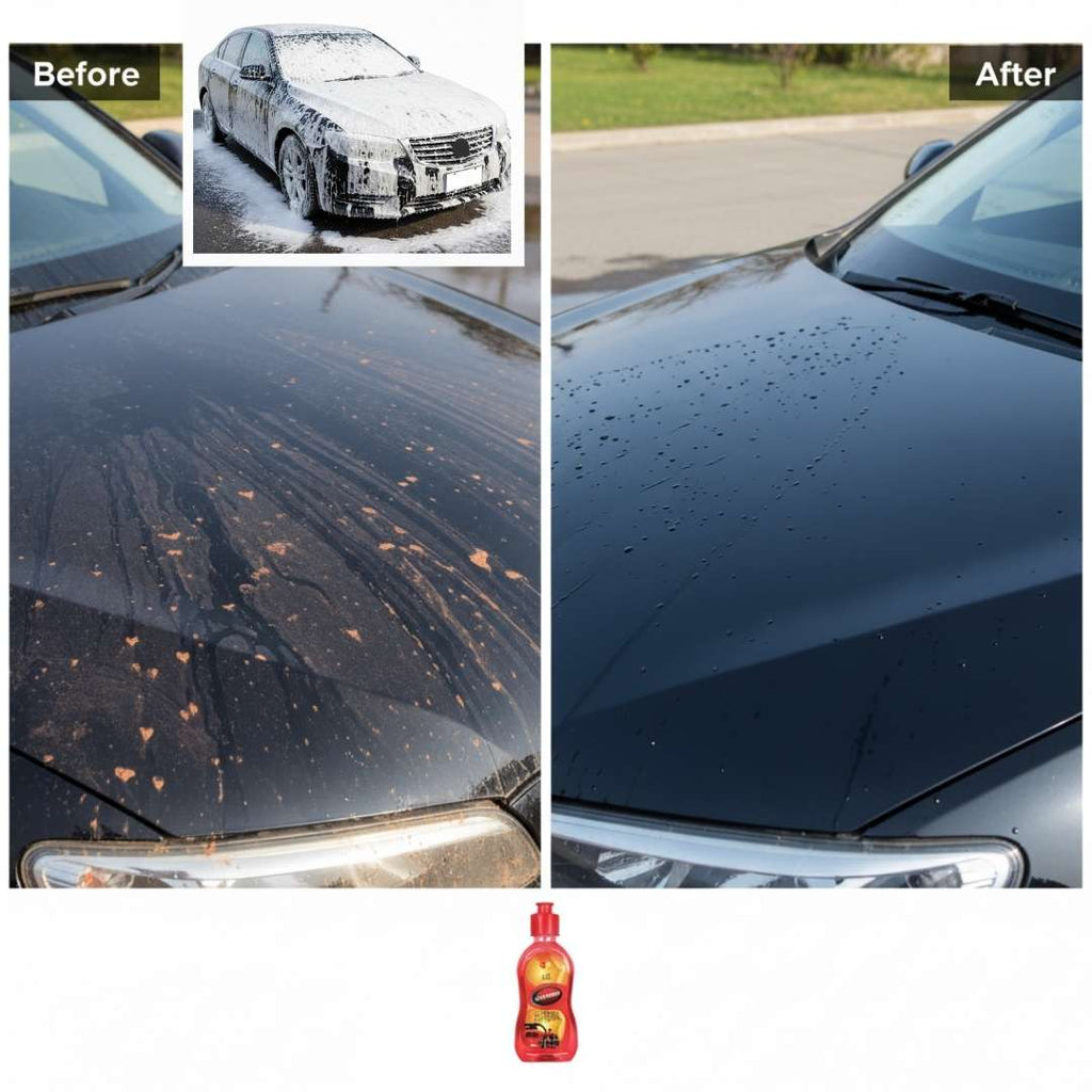 Otomate Showroom Finish Car Care Kit (5 products)